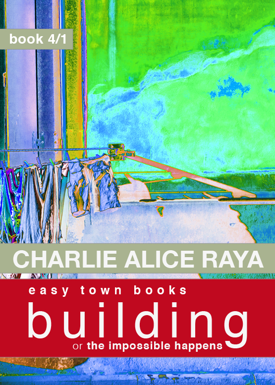 book 4/1, building, by Charlie Alice Raya, book cover